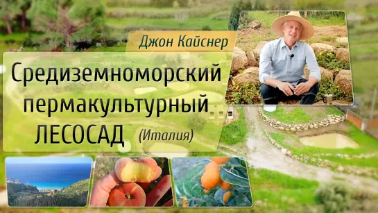 Средиземноморский пермакультурный лесосад! Джон Кайснер