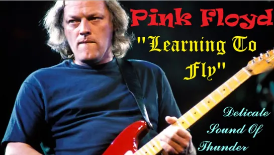 Pink Floyd — "Learning To Fly" album "A Momentary Lapse of Reason" (Delicate Sound Of Thunder 1987)