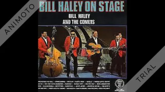 Bill Haley  his Comets - Skinny Minnie - 1958