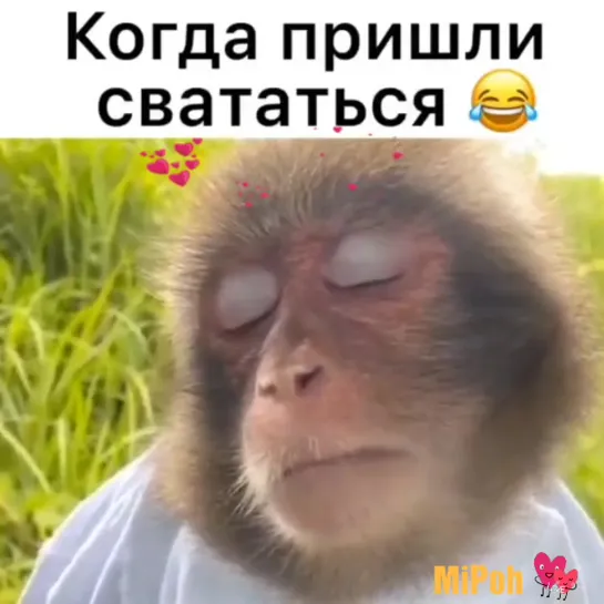 Когда к тебе пришли свататься!