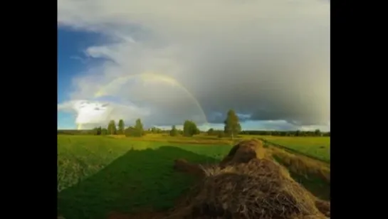 Иван Купала Родина