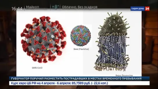 ВОПРОС НАУКИ. COVID-19 - ЧТО ДАЛЬШЕ? - РОССИЯ 24