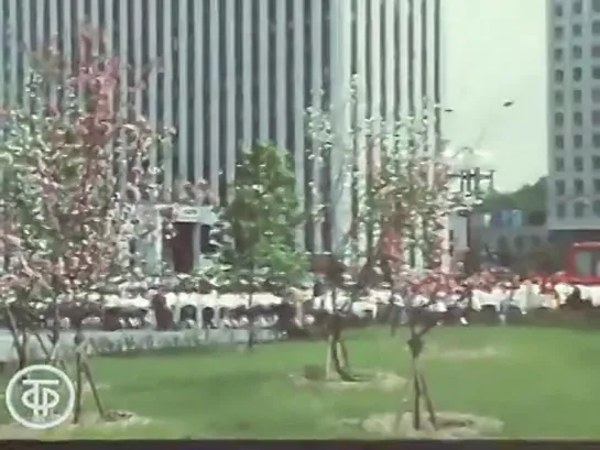 ПРАЗДНИК ПИОНЕРИИ. МОСКВА. ЭФИР 19.05.1986