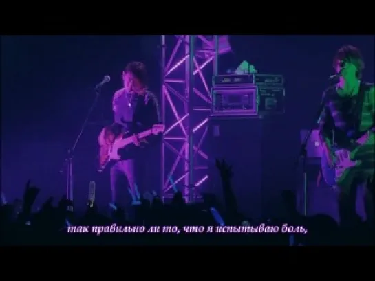 CNBLUE - Black Flower [rus sub] live