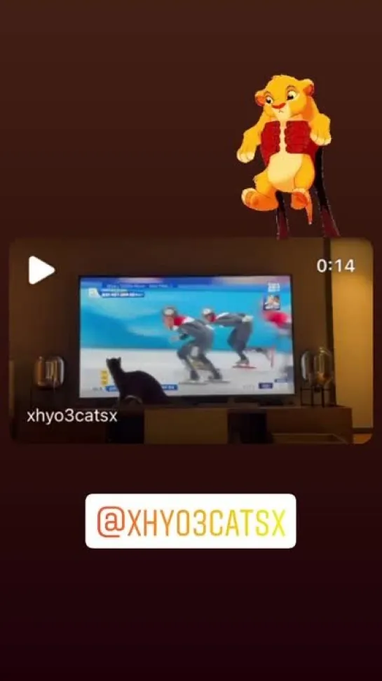 [INSTAGRAM STORY] 220213 Херин обновила историю в инстаграме (xhyolynx)