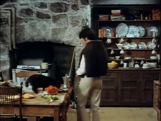 Соломенные псы / Straw Dogs (Сэм Пекинпа, 1971)