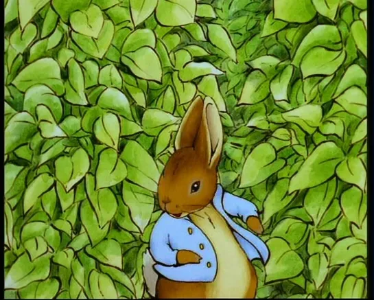 Сказка о кролике Питере и крольчонке Бенджамине / The Tale Of Peter Rabbit And Benjamin Bunny (1992-1998) мультфильм