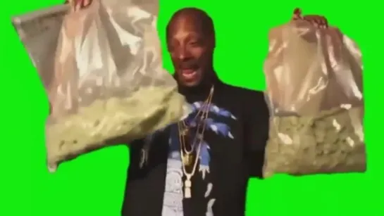 Snoop Dog с пакетами травы (Обычной, он газон косил и радостно несёт на мусорку, не ставьте 18+ пж)