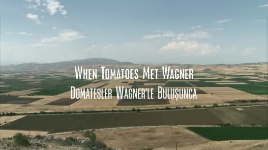 When Tomatoes Met Wagner / Otan o Vagner synantise tis domates (2019) dir. Marianna Economou