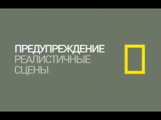 Апокалипсис : Вторая мировая война : Мир в войне 3/6