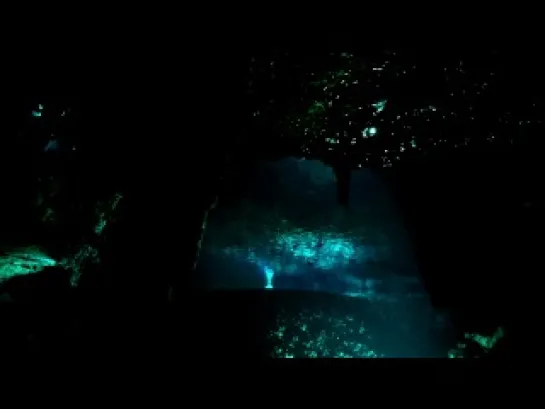 13. Cenote Mil Brujos YUCATAN HD 1'20" ESTRELLAS DEL BICENTENARIO