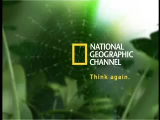 National Geographic. Наука скрытого наблюдения