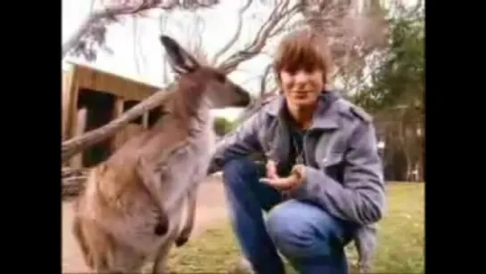 Cast of HSM in Australia