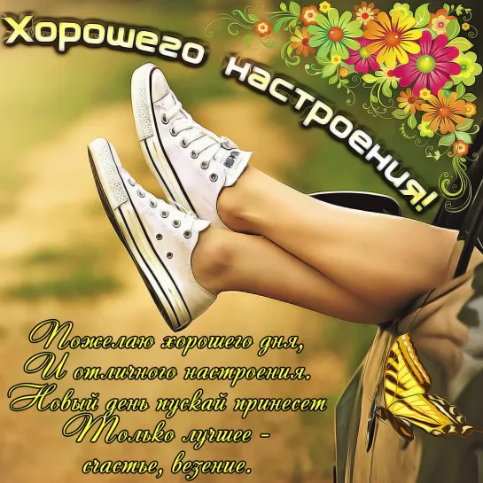 Доброе утро с животными! 🌞✬ღ☕🌸● Прекрасного Дня! ●🌸☕ღ✬🌞 и Отличного настроения