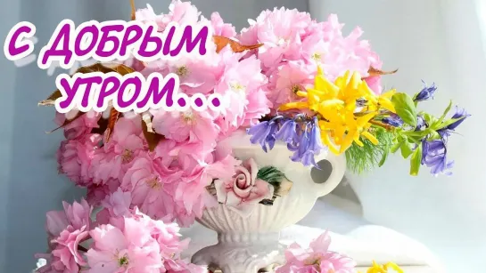 ЦВЕТЫ ДЛЯ ТЕБЯ ❤🌺❤★🌞★☕ С ДОБРЫМ УТРОМ! ☕★🌞★❤🌺❤ Улыбайся, Пусть удачным будет день!