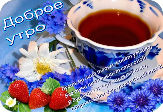 ꧁ღ╭⊱🌹💜🌹ꕥ⊱С Добрым Утром!⊱ꕥ🌹💜🌹⊱╮ღ꧂