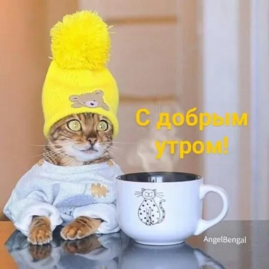 •⊰😹🐵◄╬₪  По лицу роса роса!  🙀😺😹🔺