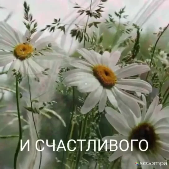 ✨💕ஜ۩۞۩ஜ💎🌼  Позитивного дня!  🌼💎ஜ۩۞۩ஜ💕✨