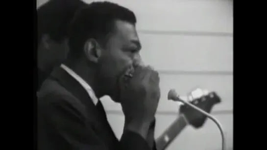 Hound Dog Taylor  Little Walter - Wild About you baby