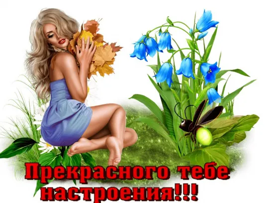 ✦░ ●**”˜★˜”💖⊱ღ 🌈🌞  Хорошего дня      🌞🌈✦░★˜”*⊰💖⊱ღ