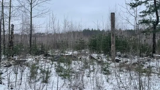 Видео от УМВД России по Липецкой области