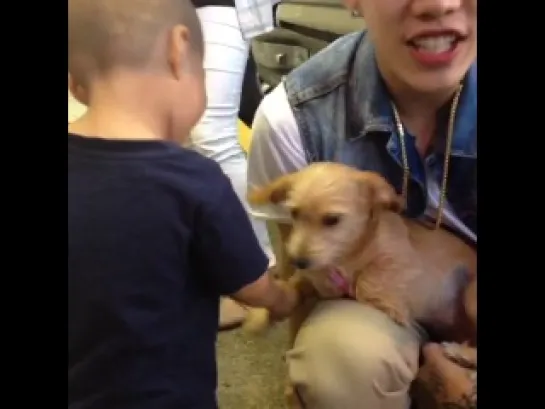 Cute Jay and a puppy with Dialtone’s baby