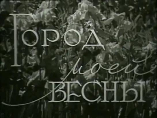 Алма-Ата. Город моей весны. 1960.