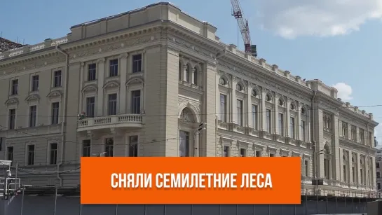 Сняли семилетние леса