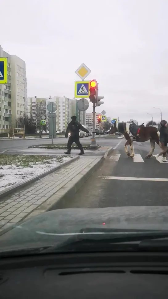 Видео от Софии Ивановой