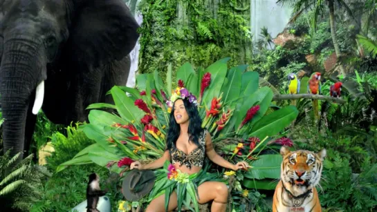 Katy Perry - Roar