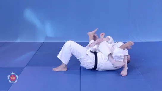 ude-hishigi-juji-gatame