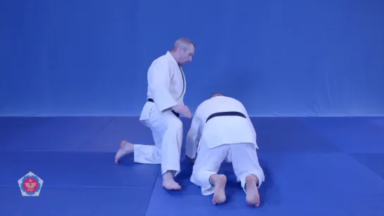 ude-hishigi-ashi-gatame