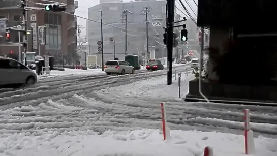 ТОКИО ЗАМЕЛО СИЛЬНЫМ СНЕГОПАДОМ