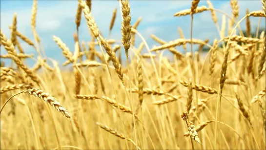 Видео от Саши Азина