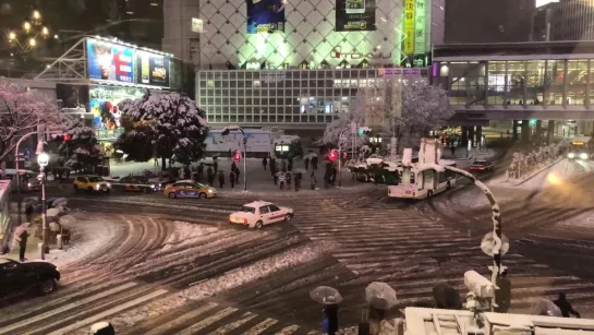 【4K60fps】雪の渋谷ハチ公（東京大雪）渋谷スクランブル交差点（東急バスのりば）Tokyo Japan