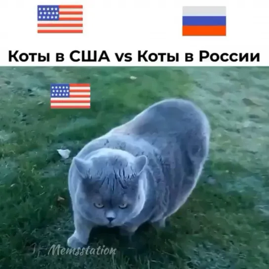 чудеса рф