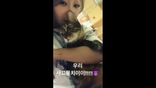 [HYOSTAGRAM STORY] 170918 Херин обновила историю в инстаграме (xhyolynx)