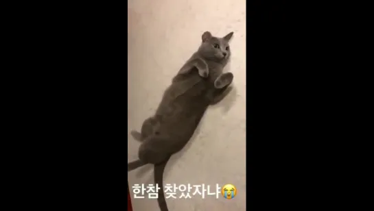 [HYOSTAGRAM STORY] 170717 Херин обновила историю в инстаграме (xhyolynx)