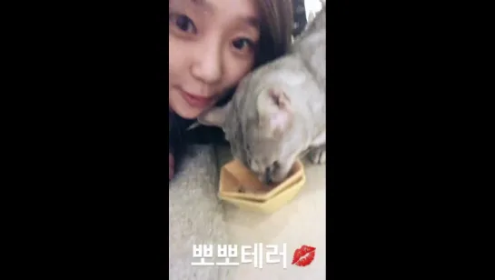 [HYOSTAGRAM STORY] 170701 Херин обновила историю в инстаграме (xhyolynx)