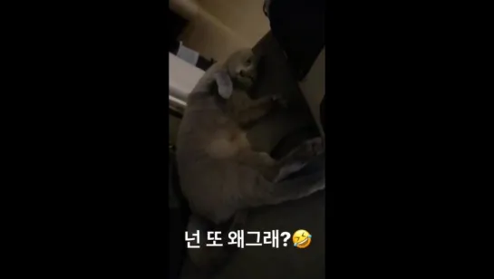 [HYOSTAGRAM STORY] 170626 Херин обновила историю в инстаграме (xhyolynx)