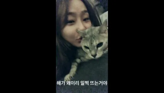 [HYOSTAGRAM STORY] 170621 Херин обновила историю в инстаграме (xhyolynx)