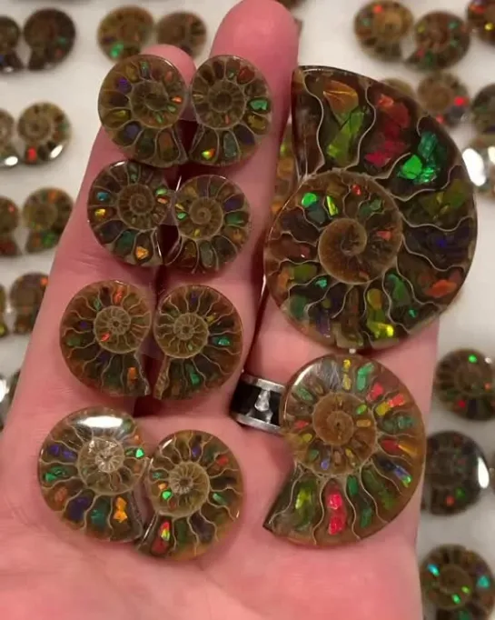 ammolite от Rare Earth Mining Co./ тролли и камешки