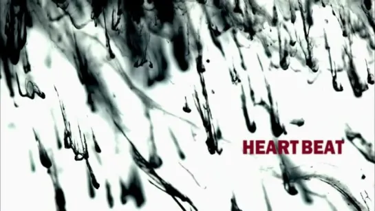 2PM - Heartbeat [kaz_sub]