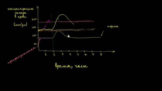 Концентрация сахара в крови | Khan Academy | Академия Хана