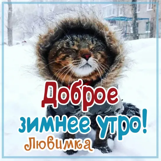 Это я с пожеланием  ❄💖❄ Чудесного зимнего настроения ❄😻❄ КОТЕНОК