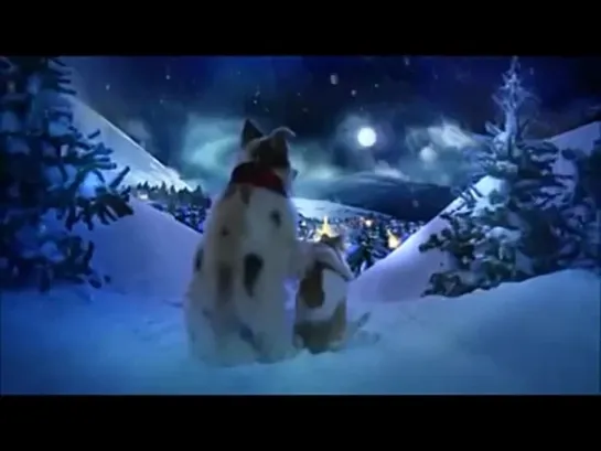 КЛИП ПРО ЖИВОТНЫХ 💖 Рождественская песня Криса Нормана  💥  Chris Norman Christmas Song