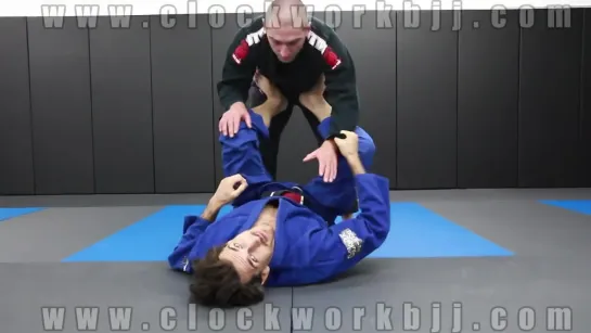 Spider Guard Sweep