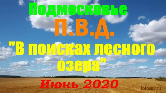 Подмосковье ПВД." В поисках лесного озера" Июнь 2020