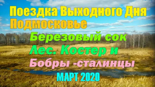 Поездка Выходного Дня Подмосковье Костер Лес и Бобры -Сталинцы МАРТ 2020