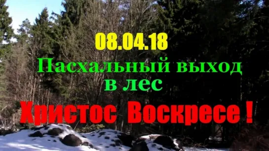 Христос Воскресе ! Подмосковье  Пасхальный выход в лес 08.04.18